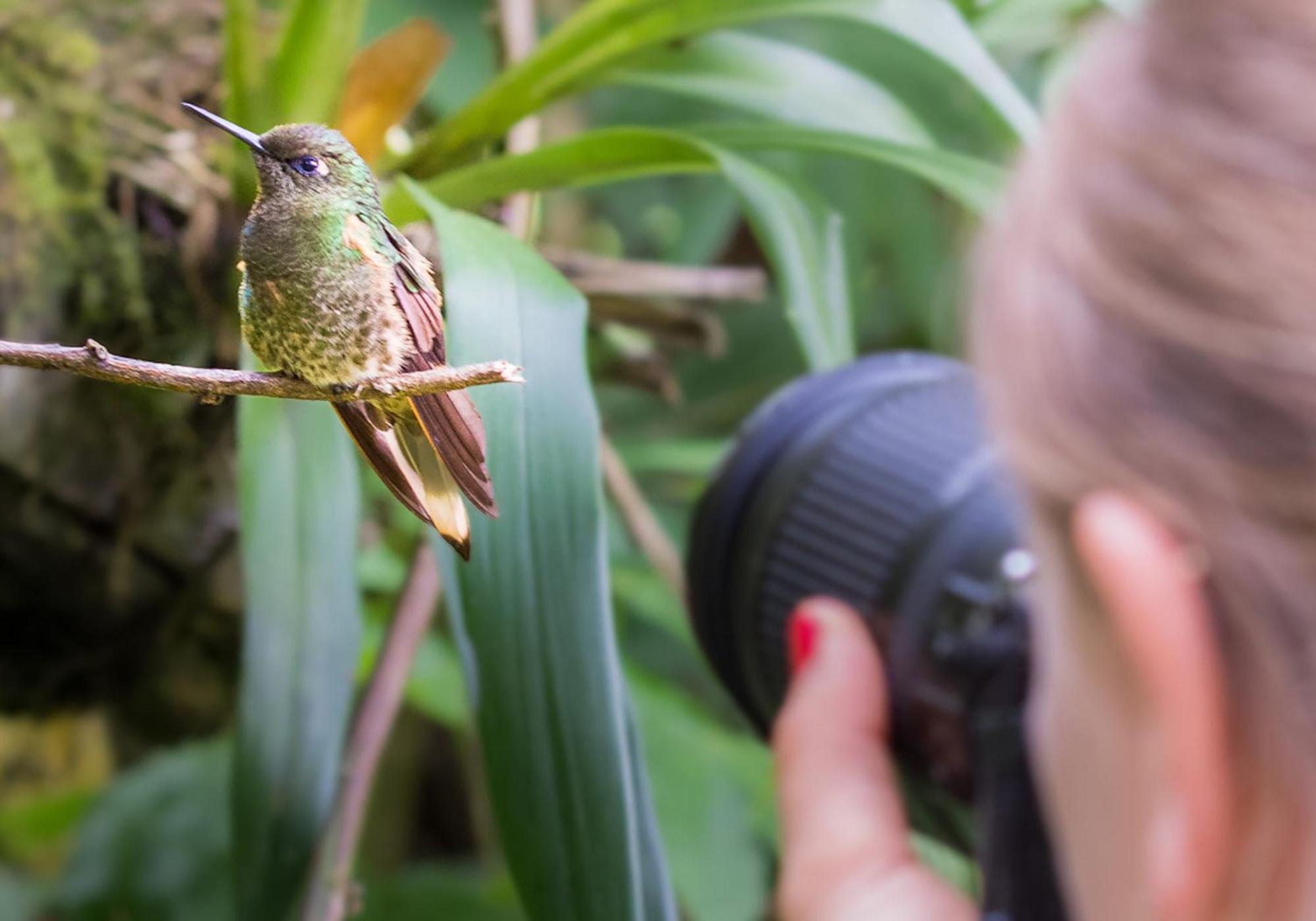 ホテル Muchosur キンバヤ エクステリア 写真